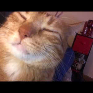 Meet your Posher, Zach